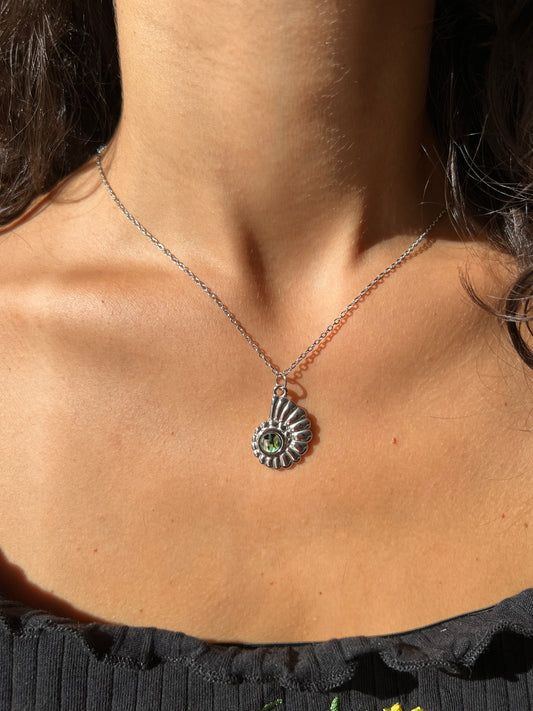 Collana conchiglia con Abalone